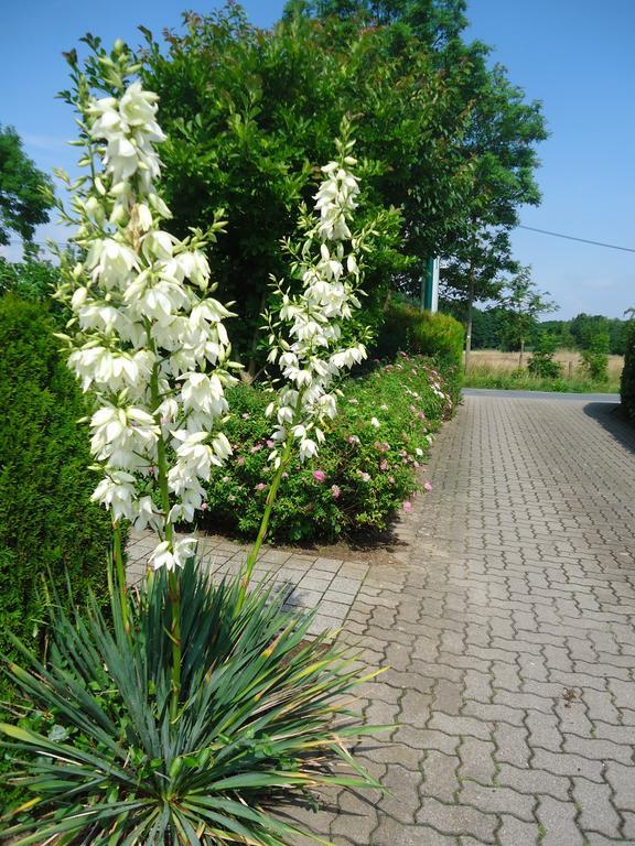 Das Fritz Hotel Schwerin Schoene Lage Im Gruenen Mit Regionaler Kueche Kostenfreien Parkplaetzen Und E Ladestation المظهر الخارجي الصورة